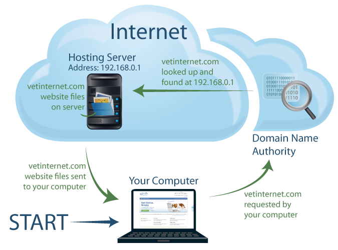 Hosting vs. Domain Names